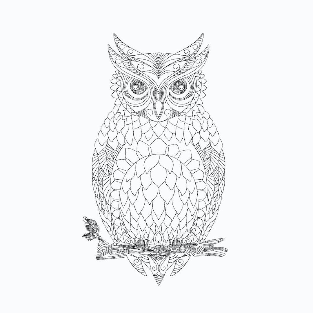 Paper Filigree painting Kit - OWL
