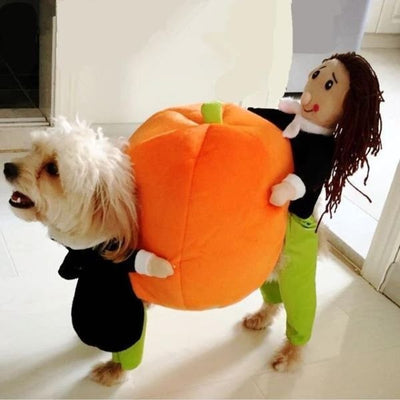 Pet Pumpkin Halloween Costume