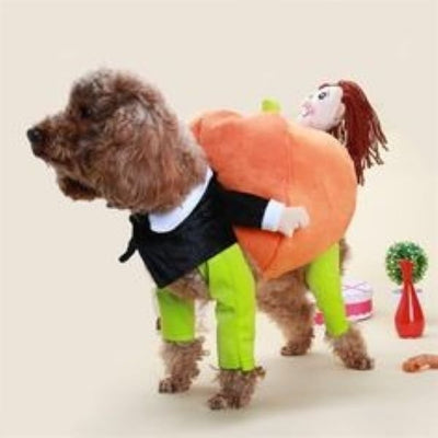 Pet Pumpkin Halloween Costume