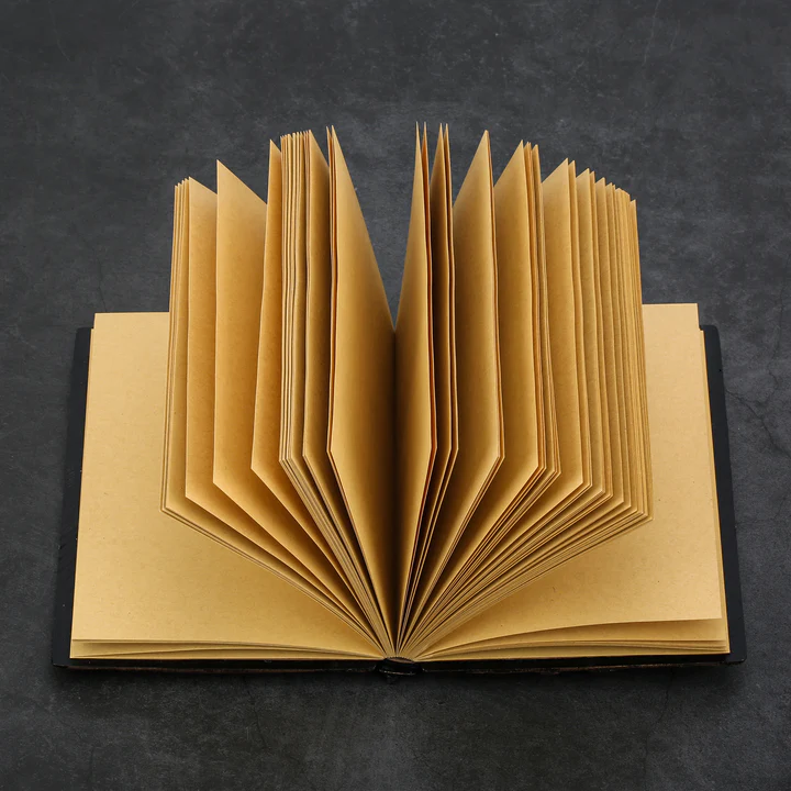 The Dragon's Secrets Journal